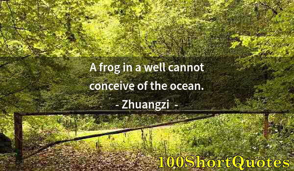 Quote by Albert Einstein: A frog in a well cannot conceive of the ocean.