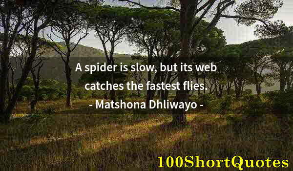 Quote by Albert Einstein: A spider is slow, but its web catches the fastest flies.