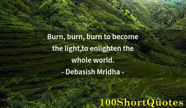 Quote by Albert Einstein: Burn, burn, burn to become the light,to enlighten the whole world.