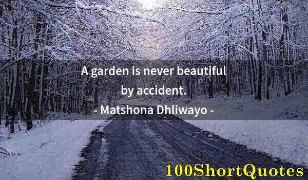 Quote by Albert Einstein: A garden is never beautiful by accident.