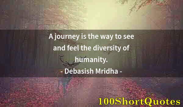 Quote by Albert Einstein: A journey is the way to see and feel the diversity of humanity.