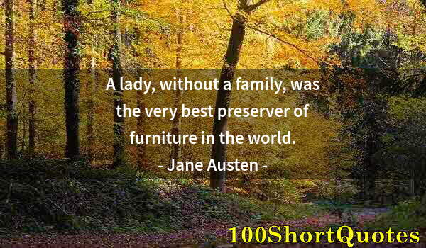 Quote by Albert Einstein: A lady, without a family, was the very best preserver of furniture in the world.