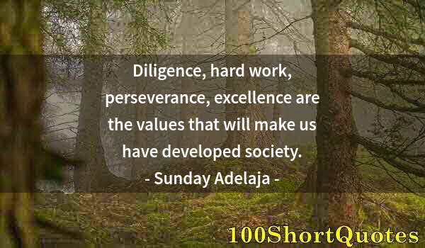 Quote by Albert Einstein: Diligence, hard work, perseverance, excellence are the values that will make us have developed socie...