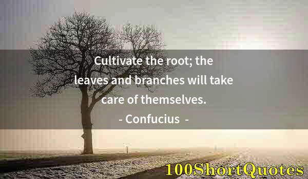 Quote by Albert Einstein: Cultivate the root; the leaves and branches will take care of themselves.