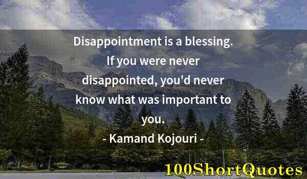 Quote by Albert Einstein: Disappointment is a blessing. If you were never disappointed, you'd never know what was important to...