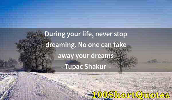 Quote by Albert Einstein: During your life, never stop dreaming. No one can take away your dreams