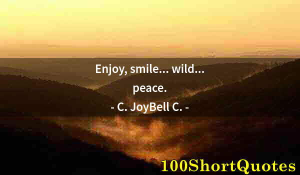 Quote by Albert Einstein: Enjoy, smile... wild... peace.