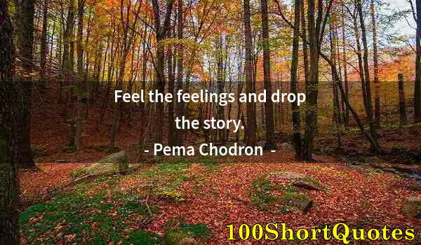 Quote by Albert Einstein: Feel the feelings and drop the story.