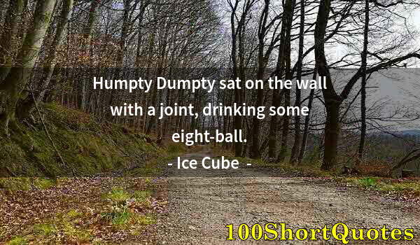 Quote by Albert Einstein: Humpty Dumpty sat on the wall with a joint, drinking some eight-ball.