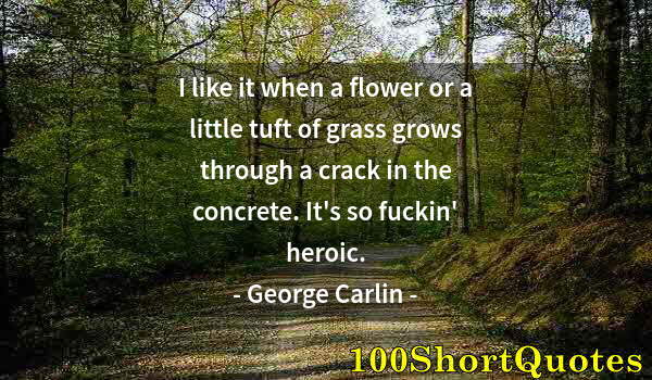 Quote by Albert Einstein: I like it when a flower or a little tuft of grass grows through a crack in the concrete. It's so fuc...