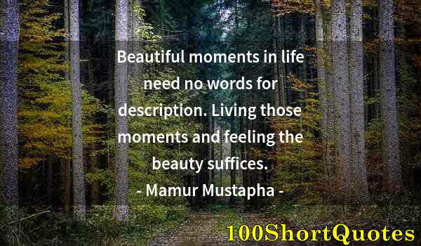 Quote by Albert Einstein: Beautiful moments in life need no words for description. Living those moments and feeling the beauty...