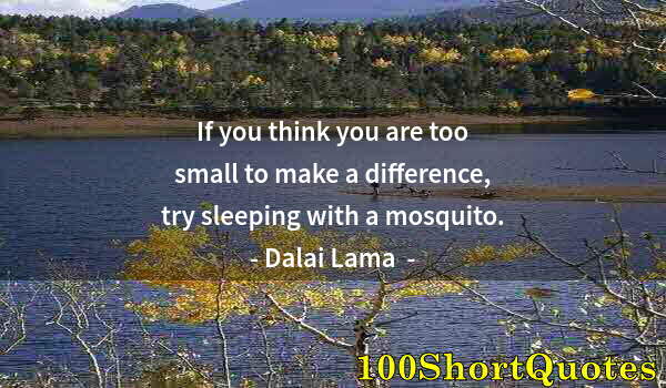 Quote by Albert Einstein: If you think you are too small to make a difference, try sleeping with a mosquito.