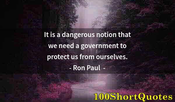 Quote by Albert Einstein: It is a dangerous notion that we need a government to protect us from ourselves.