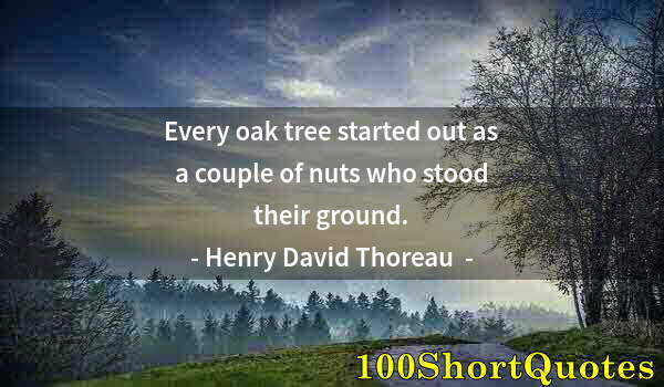 Quote by Albert Einstein: Every oak tree started out as a couple of nuts who stood their ground.