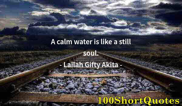 Quote by Albert Einstein: A calm water is like a still soul.