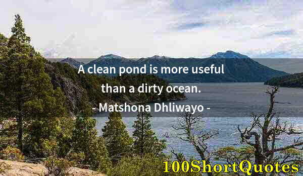 Quote by Albert Einstein: A clean pond is more useful than a dirty ocean.