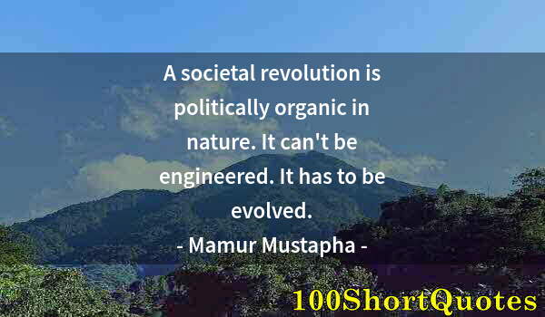 Quote by Albert Einstein: A societal revolution is politically organic in nature. It can't be engineered. It has to be evolved...