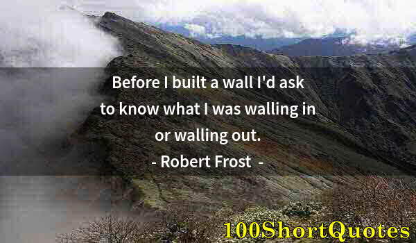 Quote by Albert Einstein: Before I built a wall I'd ask to know what I was walling in or walling out.