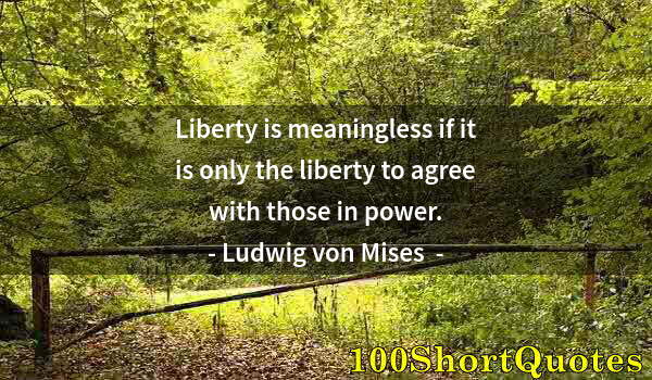 Quote by Albert Einstein: Liberty is meaningless if it is only the liberty to agree with those in power.