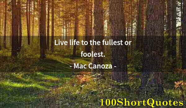 Quote by Albert Einstein: Live life to the fullest or foolest.