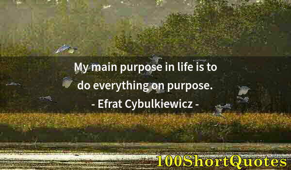 Quote by Albert Einstein: My main purpose in life is to do everything on purpose.