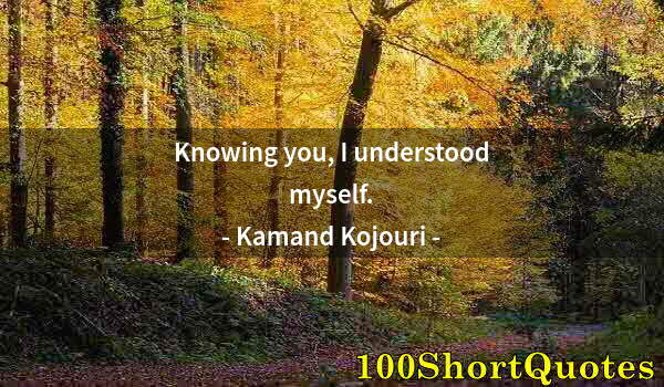 Quote by Albert Einstein: Knowing you, I understood myself.