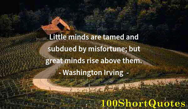 Quote by Albert Einstein: Little minds are tamed and subdued by misfortune; but great minds rise above them.