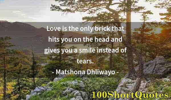 Quote by Albert Einstein: Love is the only brick that hits you on the head and gives you a smile instead of tears.