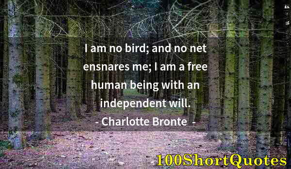 Quote by Albert Einstein: I am no bird; and no net ensnares me; I am a free human being with an independent will.