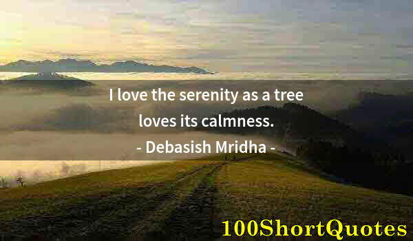 Quote by Albert Einstein: I love the serenity as a tree loves its calmness.