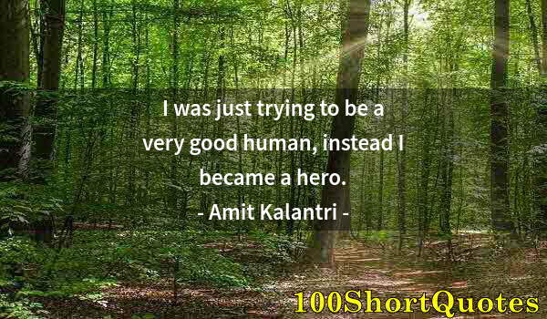 Quote by Albert Einstein: I was just trying to be a very good human, instead I became a hero.