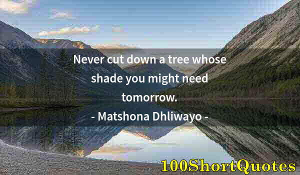 Quote by Albert Einstein: Never cut down a tree whose shade you might need tomorrow.