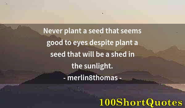 Quote by Albert Einstein: Never plant a seed that seems good to eyes despite plant a seed that will be a shed in the sunlight.