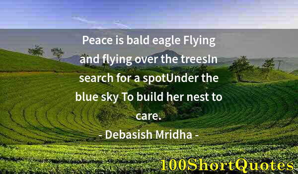 Quote by Albert Einstein: Peace is bald eagle Flying and flying over the treesIn search for a spotUnder the blue sky To build ...