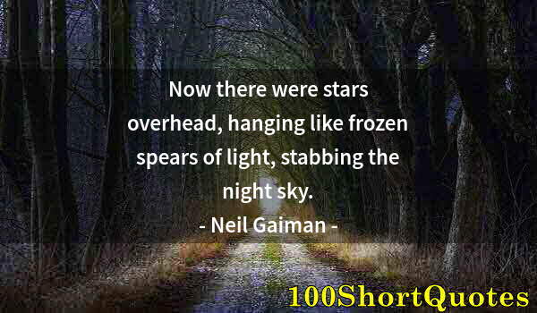 Quote by Albert Einstein: Now there were stars overhead, hanging like frozen spears of light, stabbing the night sky.