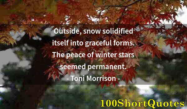 Quote by Albert Einstein: Outside, snow solidified itself into graceful forms. The peace of winter stars seemed permanent.