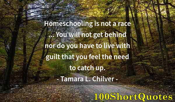 Quote by Albert Einstein: Homeschooling is not a race ... You will not get behind nor do you have to live with guilt that you ...