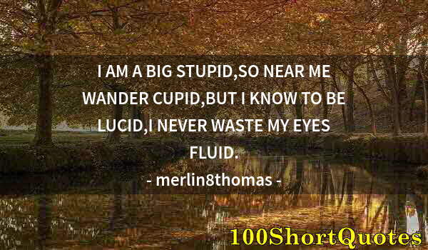 Quote by Albert Einstein: I AM A BIG STUPID,SO NEAR ME WANDER CUPID,BUT I KNOW TO BE LUCID,I NEVER WASTE MY EYES FLUID.