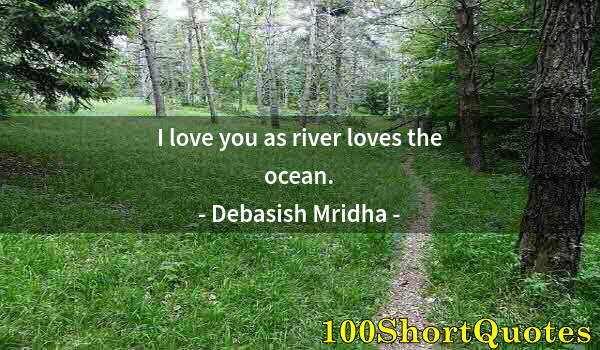 Quote by Albert Einstein: I love you as river loves the ocean.