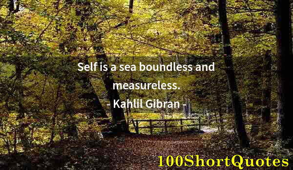 Quote by Albert Einstein: Self is a sea boundless and measureless.