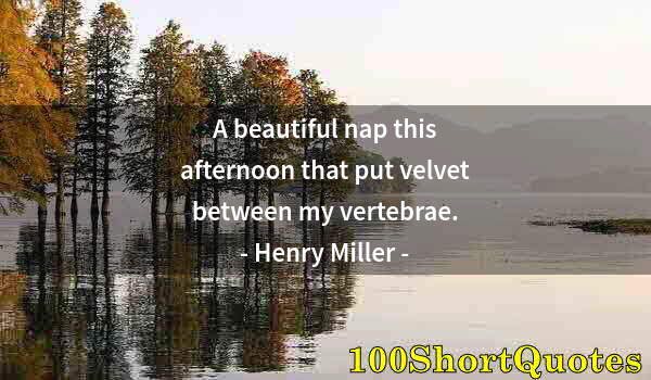 Quote by Albert Einstein: A beautiful nap this afternoon that put velvet between my vertebrae.