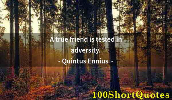 Quote by Albert Einstein: A true friend is tested in adversity.