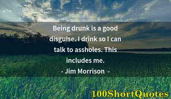 Quote by Albert Einstein: Being drunk is a good disguise. I drink so I can talk to assholes. This includes me.