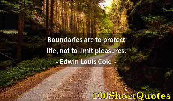 Quote by Albert Einstein: Boundaries are to protect life, not to limit pleasures.