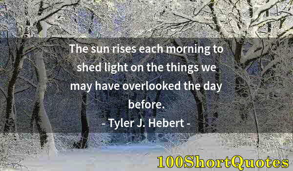 Quote by Albert Einstein: The sun rises each morning to shed light on the things we may have overlooked the day before.