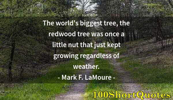 Quote by Albert Einstein: The world's biggest tree, the redwood tree was once a little nut that just kept growing regardless o...