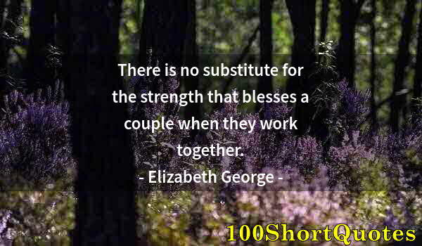 Quote by Albert Einstein: There is no substitute for the strength that blesses a couple when they work together.