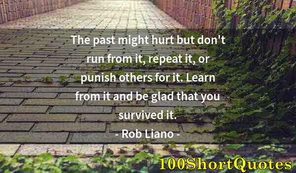 Quote by Albert Einstein: The past might hurt but don't run from it, repeat it, or punish others for it. Learn from it and be ...