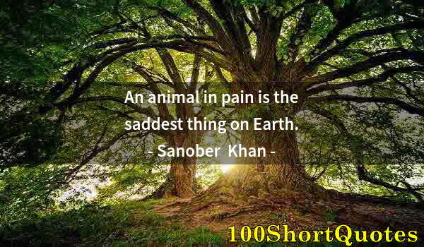 Quote by Albert Einstein: An animal in pain is the saddest thing on Earth.