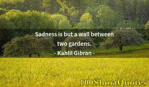 Quote by Albert Einstein: Sadness is but a wall between two gardens.